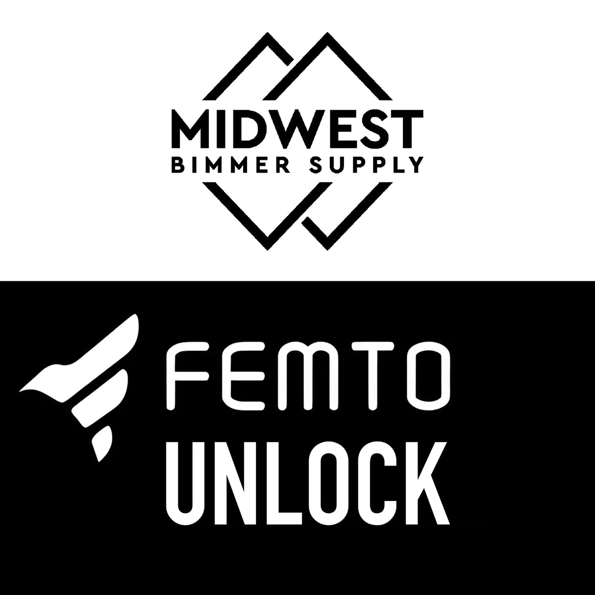BMW FEMTO DME Unlock Service (vehicles 06/2020 and new)