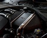 F8X S55 Stock Charge Cooler M Cover - BMW F87 M2C F80 M3 F82 F83 M4