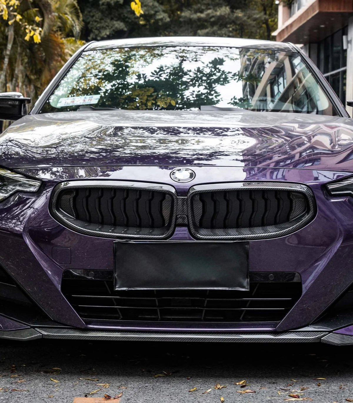 G42 2-Series Dry Carbon Fiber Grille Surround Trim - G42 2-Series 2021+