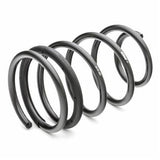 Eibach Pro-Kit Performance Springs | 2005-2010 Ford Mustang S197 (35101.140)