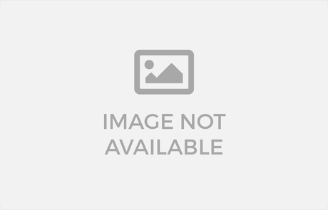 Replacement JB4 harnesses